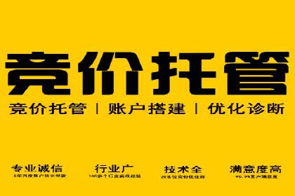 深度解析：百度竞价账户托管的成功秘诀